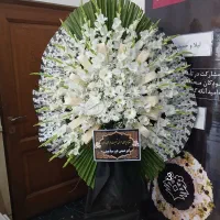 تاج گل را به قیمت بخرید