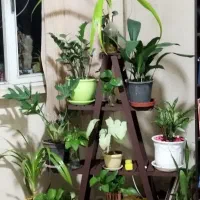 استند چوبی گل و گیاه جمع شَوَنده