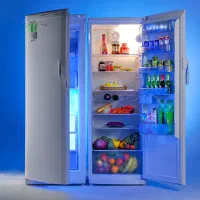 یخچال دو قلوی دیپوینت مدل MAX