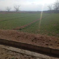 زمین-کشاورزی-بر-کانال-ماشین-رو