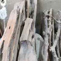 تعدادی الوار روستیک