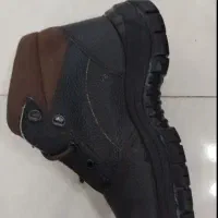 کفش کار در مهریز