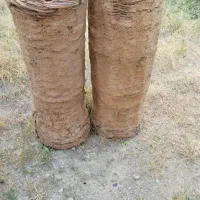 سبد زنبور عسل