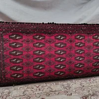 دو جفت پشتی