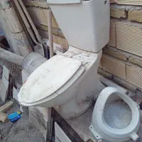 تولت فرنگی