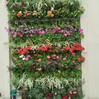 خدمات باغبانی وسمپاشی در سراسر کرج