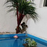 حراج لوازم خانگی