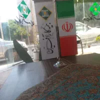 استخدام خانم و آقا