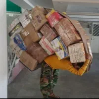کارگر باربری اسباب کشی اثاث منزل حمل سایدو گاوصندق