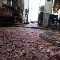 پرستار خانم نیازمندیم