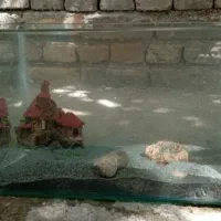 آکواریوم  شیشه خم نو استفاده نشده