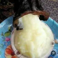 هیزه کوچک