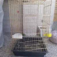 قفس برنجی بزرگ محکم‌