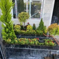 خدمات باغبانی باغچه کاری تعویض خاک گلدون گل کاری