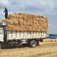 پرس گندم پرس یونجه پخل تحویل دامداری