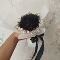 تک شاخه مشکلی