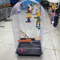 قفس قفس پرنده     چهار لیوان