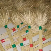 گندم|گل و گیاه طبیعی|تهران, امام حسین|دیوار