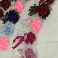 فقط و فقط 498