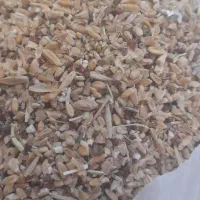 گندم|خوردنی و آشامیدنی|آذرشهر, |دیوار