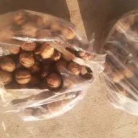 گردو بدون پوست