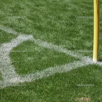 استخدام نگهبان زمین ورزشی