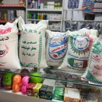 برنج ایرانی زیر قیمت بازار در تمشک مارکت المهدی