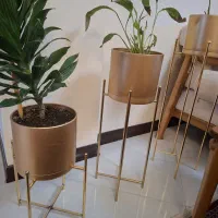 گلدان با استنت