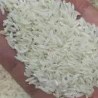 برنج هاشمی درجه یک