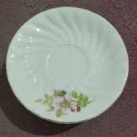 نعلبکی چینی
