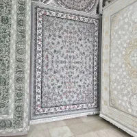 تولید و پخش فرش های 700 شانه ضخیم