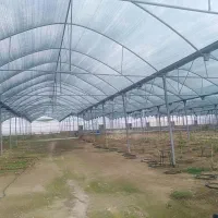 نیازمند نیرو برای ساخت گلخانه کار دائم