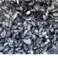 فروش کربن پوست پسته
