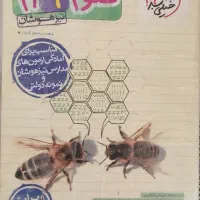 کتاب کار علوم نهم خیلی سبز