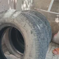 لاستیک پیکان