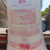 کود دی آمونیوم رازی اصل