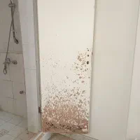 نقاشی ساختمان سعید