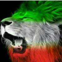 نقاشی چوب و ساختمان
