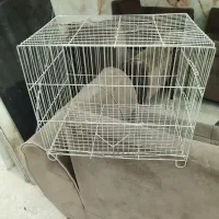 قفس بزرگ