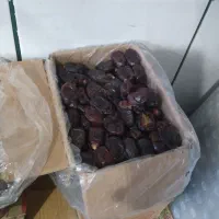 خرما ضایعاتی