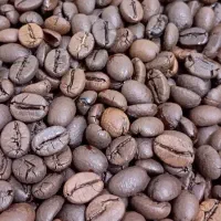 فروش انواع دان قهوه