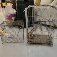 قفس پرنده بزرگ و کوچیک