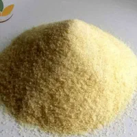 ژلاتین حلال گاوی  بدون بو شفاف