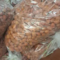 فروش الو کبرایی کیلویی۷۰۰هزار