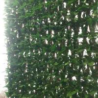 گرینوال ممصنوعی آکاردئونی چوبی