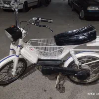 براوو سالم