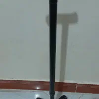 عصا سالم