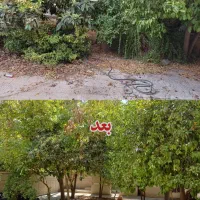 شرکت خدماتی نظافتی بهپاک یاقوت درخشان تضمینی