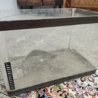 آکواریوم شیشه خم