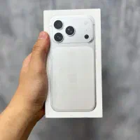 17pro